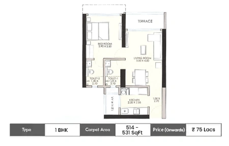 1 BHK 514 - 531 SqFt
